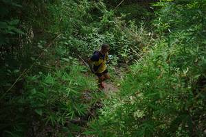 BIB: 
                            <button type="button" onclick="openModal(22241980)" class="btn btn-primary btn-sm float-right btn-popup" data-toggle="modal" data-target=".modal-high-quality">
                        <i class="fas fa-shopping-cart"></i> Add to Cart
                    </button>
                                            <button type="button" onclick="isThisMe(22241980, true)" class="btn btn-success btn-sm float-right btn-popup btn-isme hidden" data-toggle="tooltip" data-placement="bottom" title="นี่คือรูปของคุณใช่ไหม คลิกที่นี่เพื่อเอาเข้าอัลบั้ม">
                        <i class="fas fa-plus"></i> Add to album
                    </button>
                    <button type="button" onclick="isThisMe(22241980, false)" class="btn btn-warning btn-sm float-right btn-popup btn-isnotme hidden">
                        <i class="fas fa-ban"></i> Remove from album
                    </button>